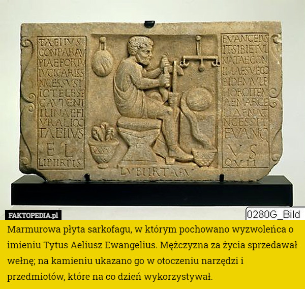 Marmurowa płyta sarkofagu, w którym pochowano wyzwoleńca o imieniu Tytus...