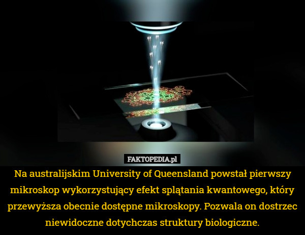 Na australijskim University of Queensland powstał pierwszy mikroskop wykorzystujący