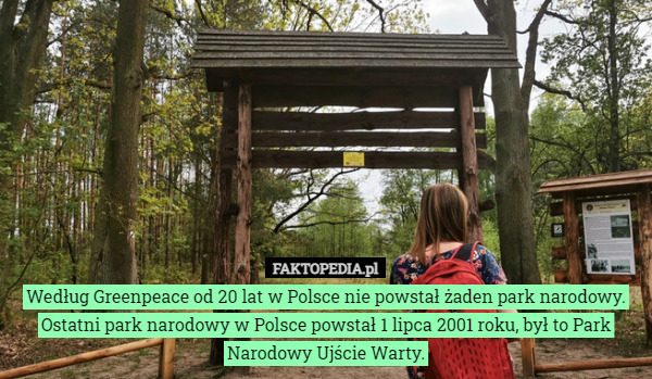 Według Greenpeace od 20 lat w Polsce nie powstał żaden park narodowy.
Ostatni