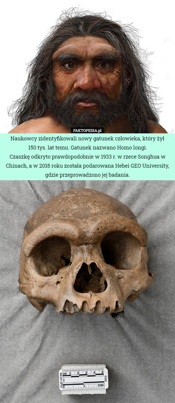Naukowcy zidentyfikowali nowy gatunek człowieka, który żył 150 tys. lat...