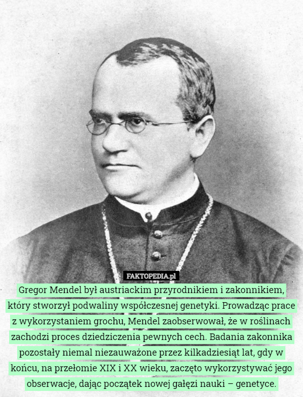 Gregor Mendel był austriackim przyrodnikiem i zakonnikiem, który stworzył...