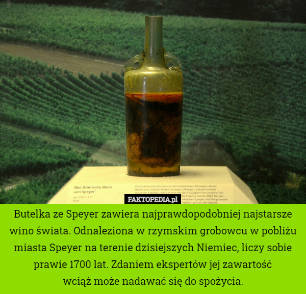 Butelka ze Speyer zawiera najprawdopodobniej najstarsze wino świata. Odnaleziona...