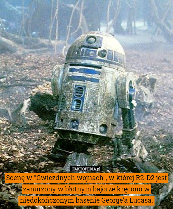 Scenę w "Gwiezdnych wojnach", w której R2-D2 jest zanurzony w błotnym bajorze...