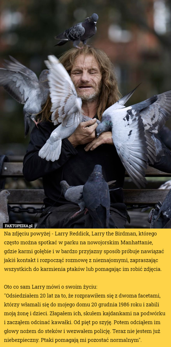 Na zdjęciu powyżej - Larry Reddick, Larry the Birdman, którego często można...