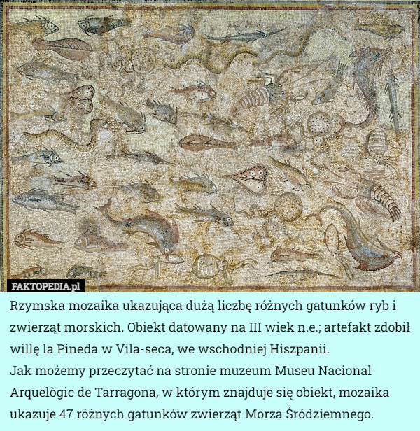 Rzymska mozaika ukazująca dużą liczbę różnych gatunków ryb i zwierząt...
