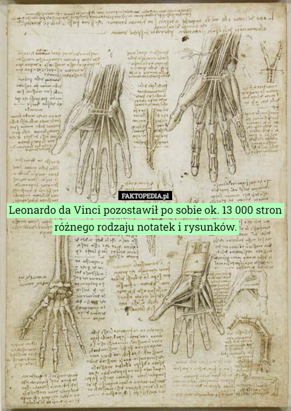 Leonardo da Vinci pozostawił po sobie ok. 13 000 stron różnego rodzaju...
