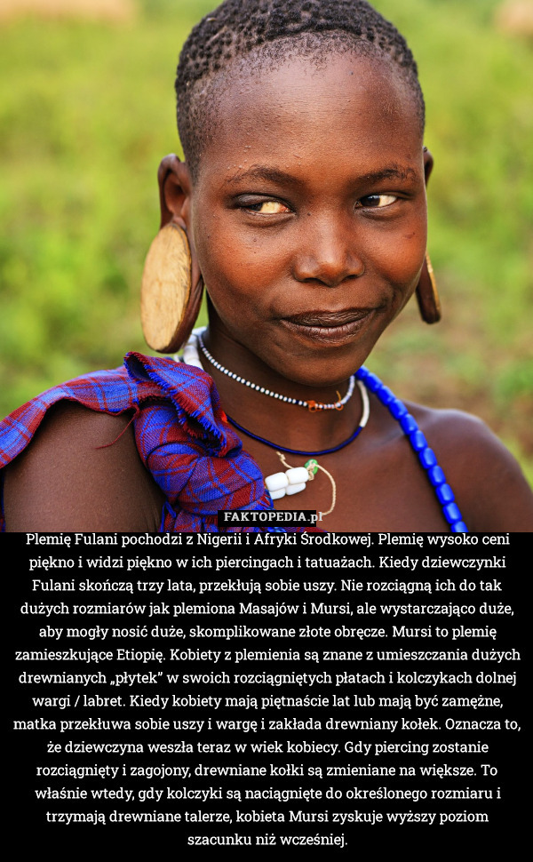 Plemię Fulani pochodzi z Nigerii i Afryki Środkowej. Plemię wysoko ceni