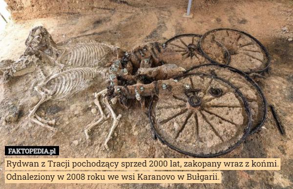 Rydwan z Tracji pochodzący sprzed 2000 lat, zakopany wraz z końmi. Odnaleziony...