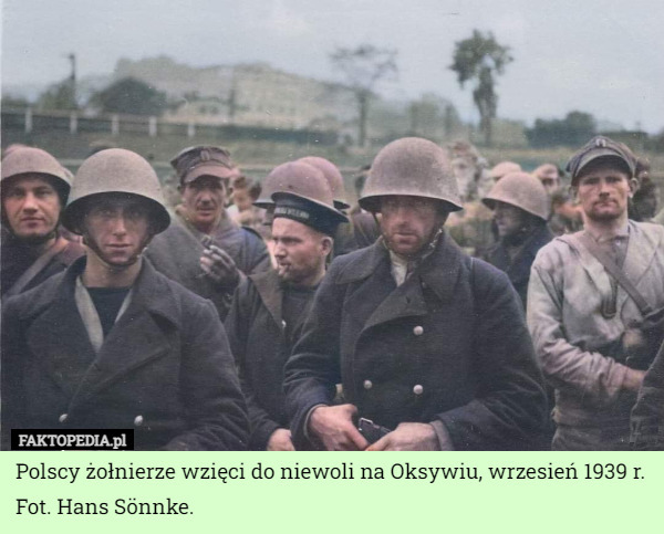 Polscy żołnierze wzięci do niewoli na Oksywiu, wrzesień 1939 r. Fot. Hans...