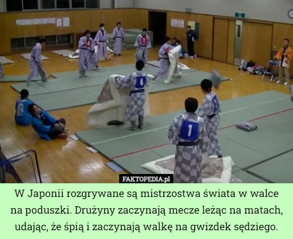 W Japonii rozgrywane są mistrzostwa świata w walce na poduszki. Drużyny...