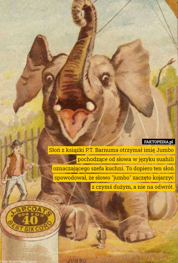 Słoń z ksiązki P.T. Barnuma otrzymał imię Jumbo pochodzące od słowa w języku