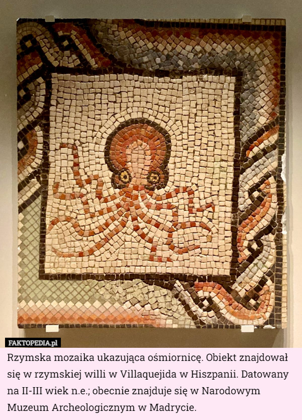 Rzymska mozaika ukazująca ośmiornicę. Obiekt znajdował się w rzymskiej willi...