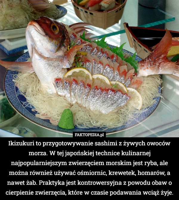 Ikizukuri to przygotowywanie sashimi z żywych owoców morza. W tej japońskiej...
