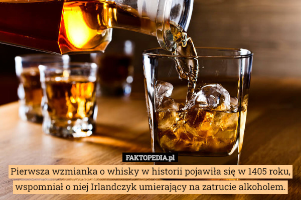 Pierwsza wzmianka o whisky w historii pojawiła się w 1405 roku, wspomniał...