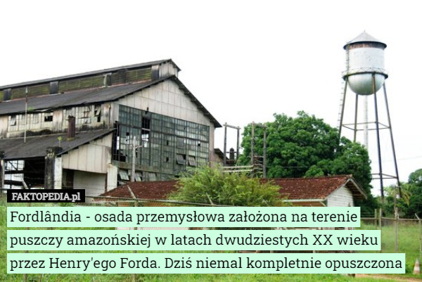 Fordlândia - osada przemysłowa założona na terenie puszczy amazońskiej w...