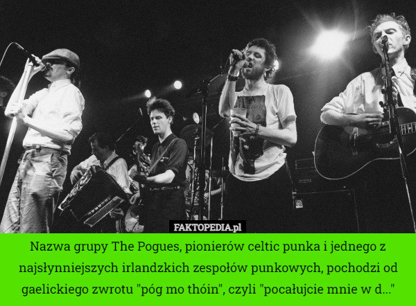Nazwa grupy The Pogues, pionierów celtic punka i jednego z najsłynniejszych...