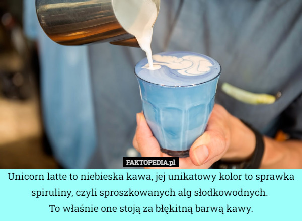 Unicorn latte to niebieska kawa, jej unikatowy kolor to sprawka spiruliny,
