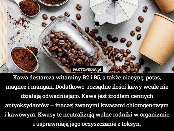 Kawa dostarcza witaminy B2 i B5, a także niacynę, potas, magnez i mangan.
