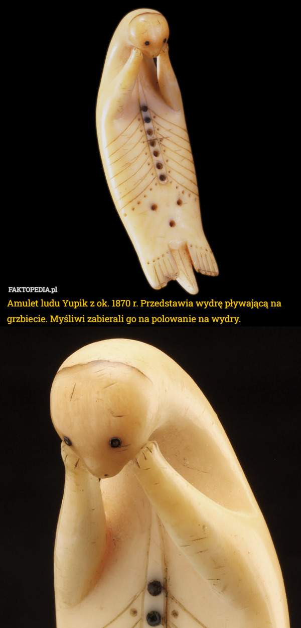 Amulet ludu Yupik z ok. 1870 r. Przedstawia wydrę pływającą na grzbiecie...