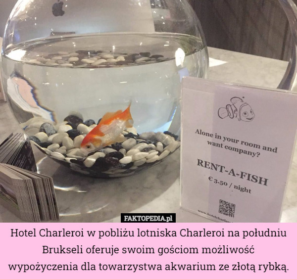Hotel Charleroi w pobliżu lotniska Charleroi na południu Brukseli oferuje...