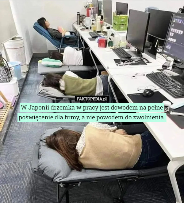W Japonii drzemka w pracy jest dowodem na pełne poświęcenie dla firmy, a...