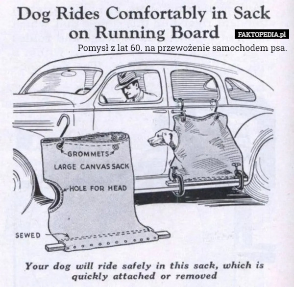 Pomysł z lat 60. na przewożenie samochodem psa.