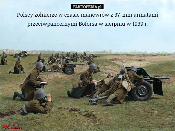 Polscy żołnierze w czasie manewrów z 37-mm armatami przeciwpancernymi Boforsa