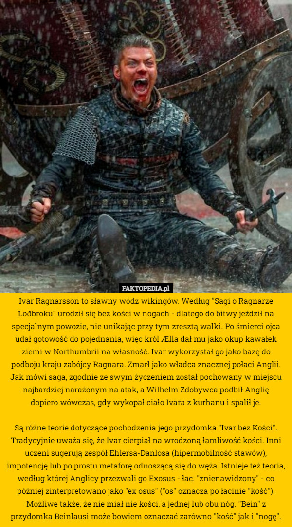 Ivar Ragnarsson to sławny wódz wikingów. Według "Sagi o Ragnarze Loðbroku"...