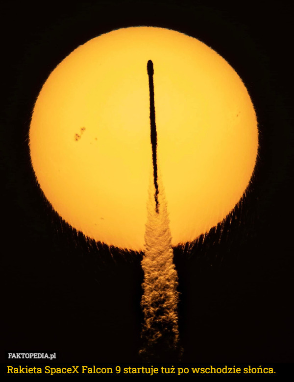 Rakieta SpaceX Falcon 9 startuje tuż po wschodzie słońca. 