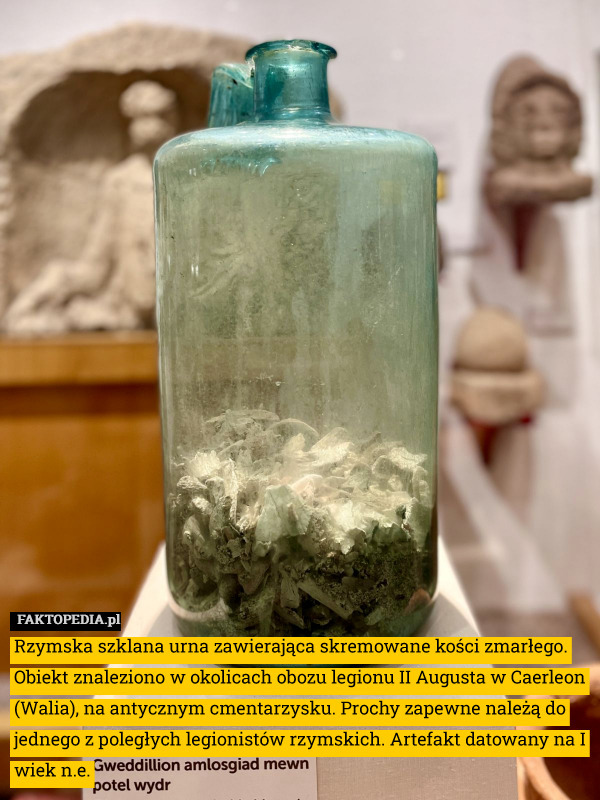 Rzymska szklana urna zawierająca skremowane kości zmarłego. Obiekt znaleziono