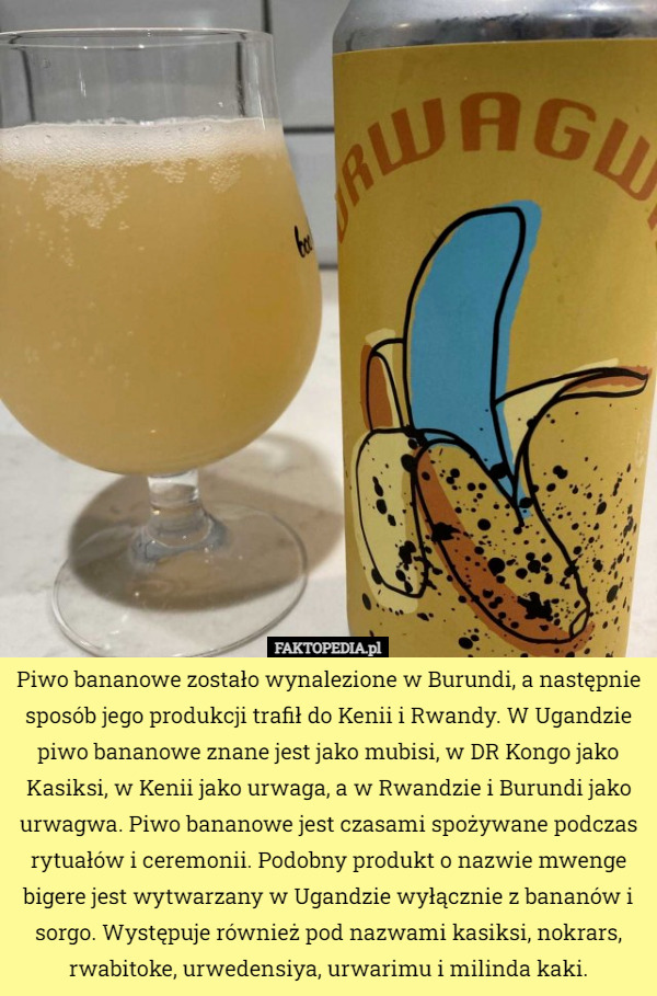 Piwo bananowe zostało wynalezione w Burundi, a następnie sposób jego produkcji...