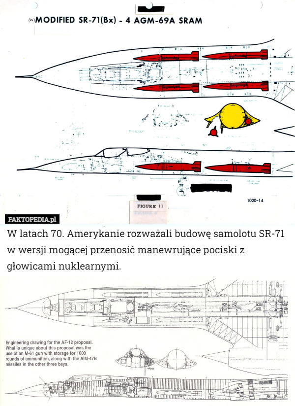 W latach 70. Amerykanie rozważali budowę samolotu SR-71 w wersji mogącej