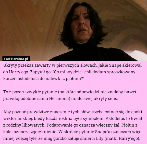 Ukryty przekaz zawarty w pierwszych słowach, jakie Snape skierował do Harry'ego...