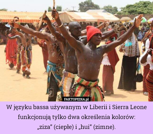 W języku bassa używanym w Liberii i Sierra Leone funkcjonują tylko dwa określenia...