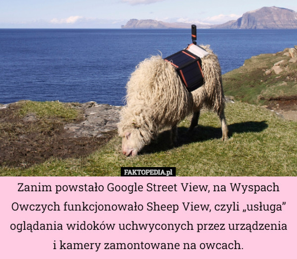 Zanim powstało Google Street View, na Wyspach Owczych funkcjonowało Sheep