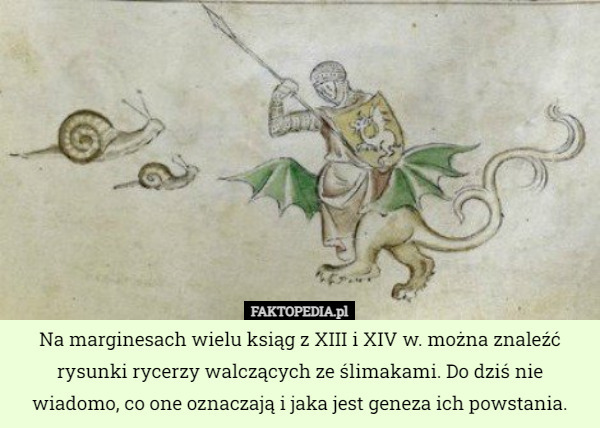 Na marginesach wielu ksiąg z XIII i XIV w. można znaleźć rysunki rycerzy...