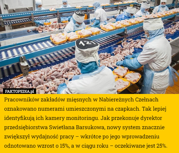 Pracowników zakładów mięsnych w Nabiereżnych Czełnach oznakowano numerami...