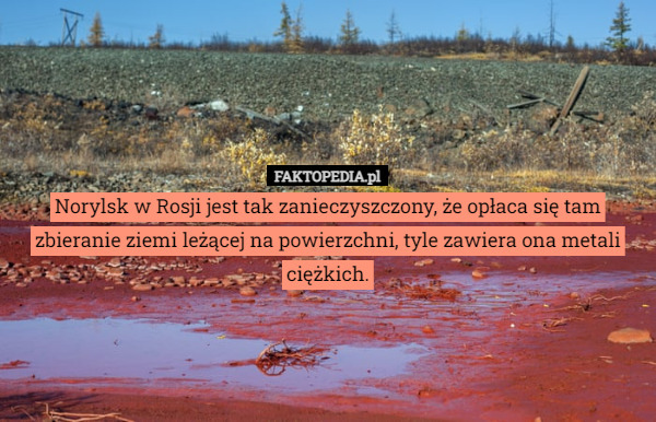 Norylsk w Rosji jest tak zanieczyszczony, że opłaca się tam zbieranie ziemi