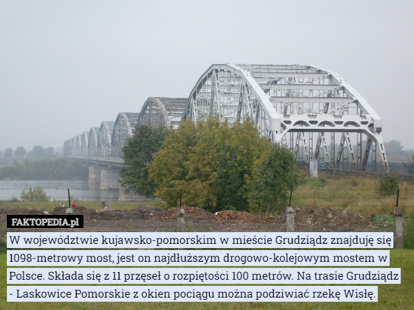 W województwie kujawsko-pomorskim w mieście Grudziądz znajduję się 1098...