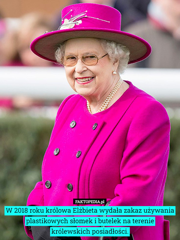 W 2018 roku królowa Elżbieta wydała zakaz używania plastikowych słomek i