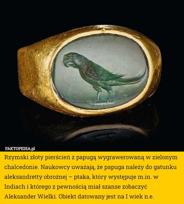 Rzymski złoty pierścień z papugą wygrawerowaną w zielonym chalcedonie...