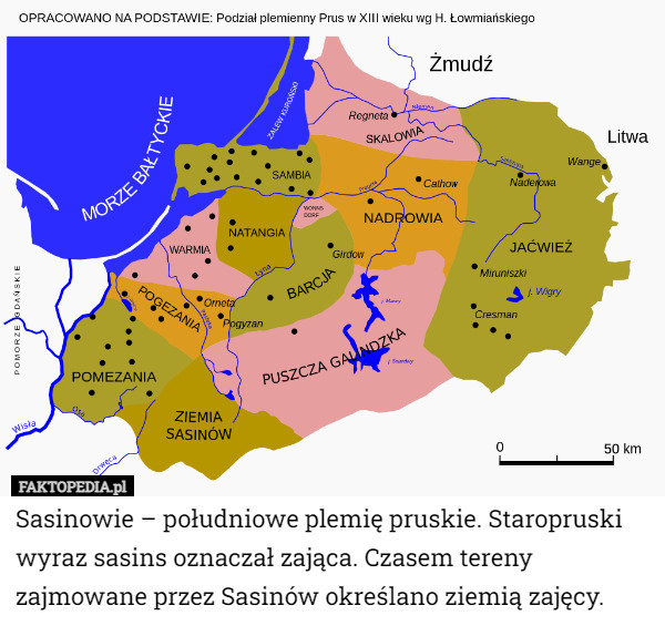 Sasinowie – południowe plemię pruskie. Staropruski wyraz sasins oznaczał...