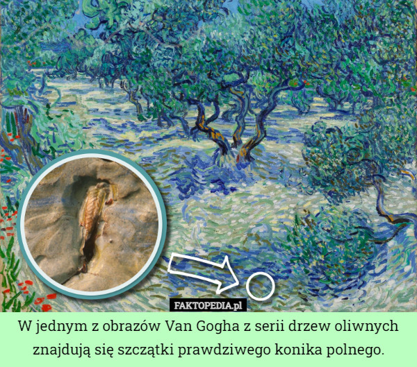 W jednym z obrazów Van Gogha z serii drzew oliwnych znajdują się szczątki...