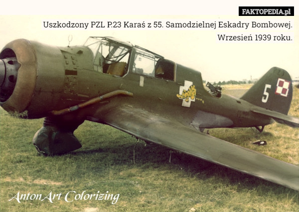 Uszkodzony PZL P.23 Karaś z 55. Samodzielnej Eskadry Bombowej. Wrzesień 1939...