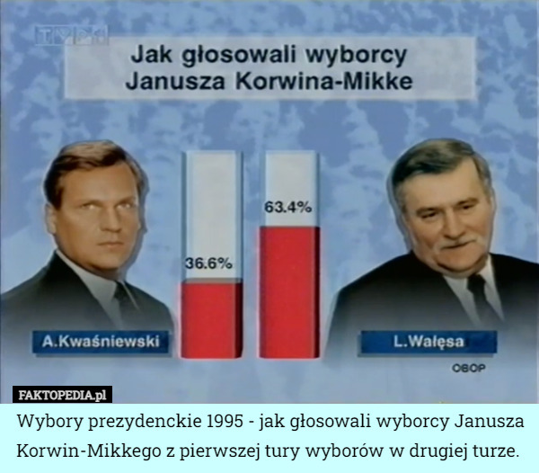Wybory prezydenckie 1995 - Jak głosowali wybory Janusza Korwin-Mikkego z