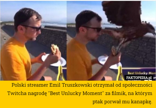 Polski streamer Emil Truszkowski otrzymał od społeczności Twitcha nagrodę