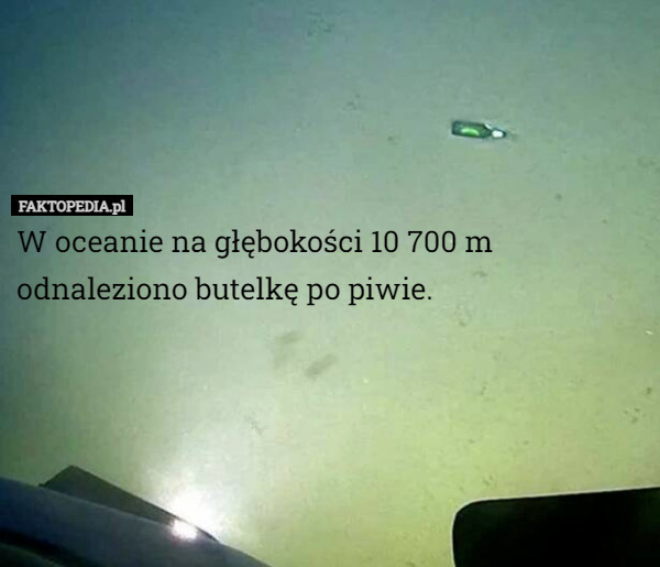W oceanie na głębokości 10 700 m odnaleziono butelkę po piwie