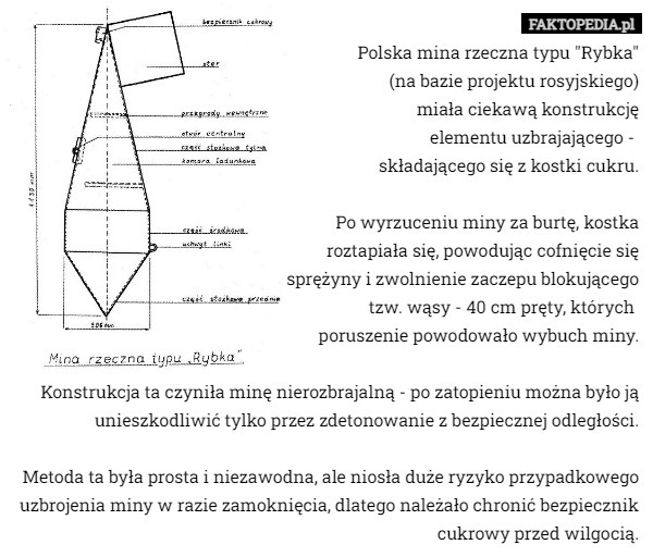Polska mina rzeczna typu "Rybka"
(na bazie projektu rosyjskiego)