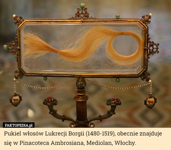 Pukiel włosów Lukrecji Borgii (1480-1519), obecnie znajduje się w Pinacoteca