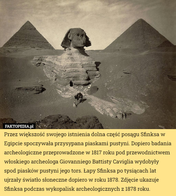 Przez większość swojego istnienia dolna część posągu Sfinksa w Egipcie spoczywała...